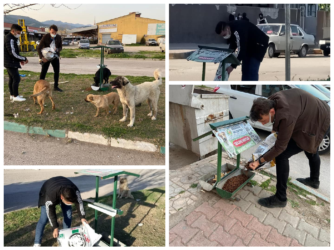 KIRIKHAN BELEDİYESİ SOKAK HAYVANLARINA SAHİP ÇIKMAYA DEVAM EDİYOR