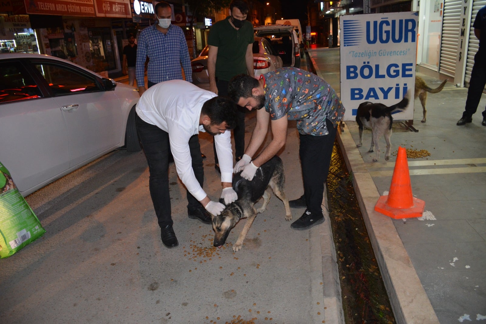 BAŞKAN YAVUZ SOKAK HAYVANLARININ AŞILARINI YAPTIRDI.